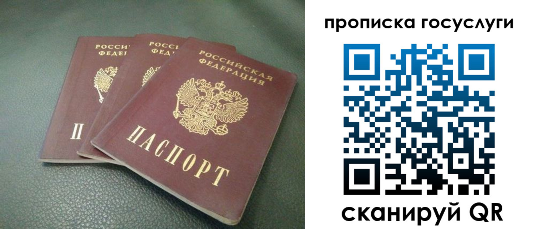 временная регистрация госуслуги в Лыткарино